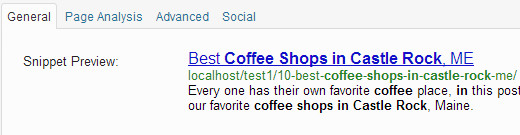 WordPress SEO snippet preview